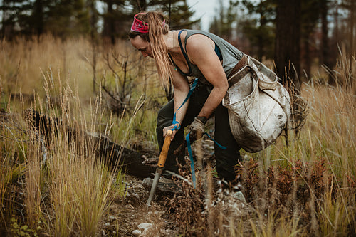 Forester planting new trees in forest