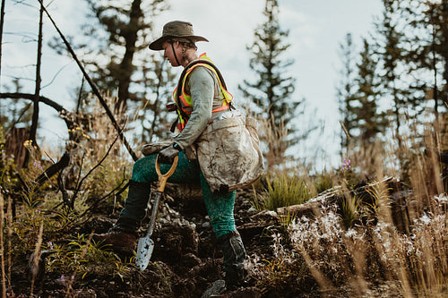 Woman working in forest planting new trees