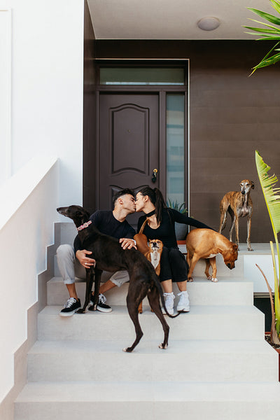 Romantic couple kissing while sitting with their dogs