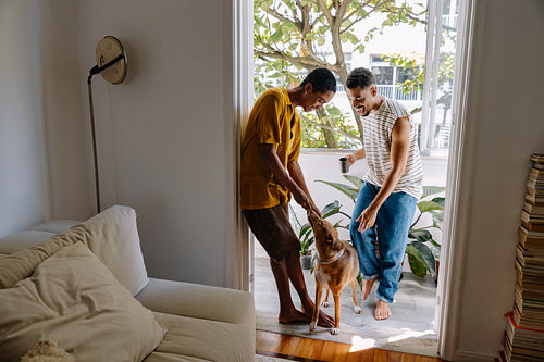 Couple greeting rescue dog at home doorway on a sunny morning