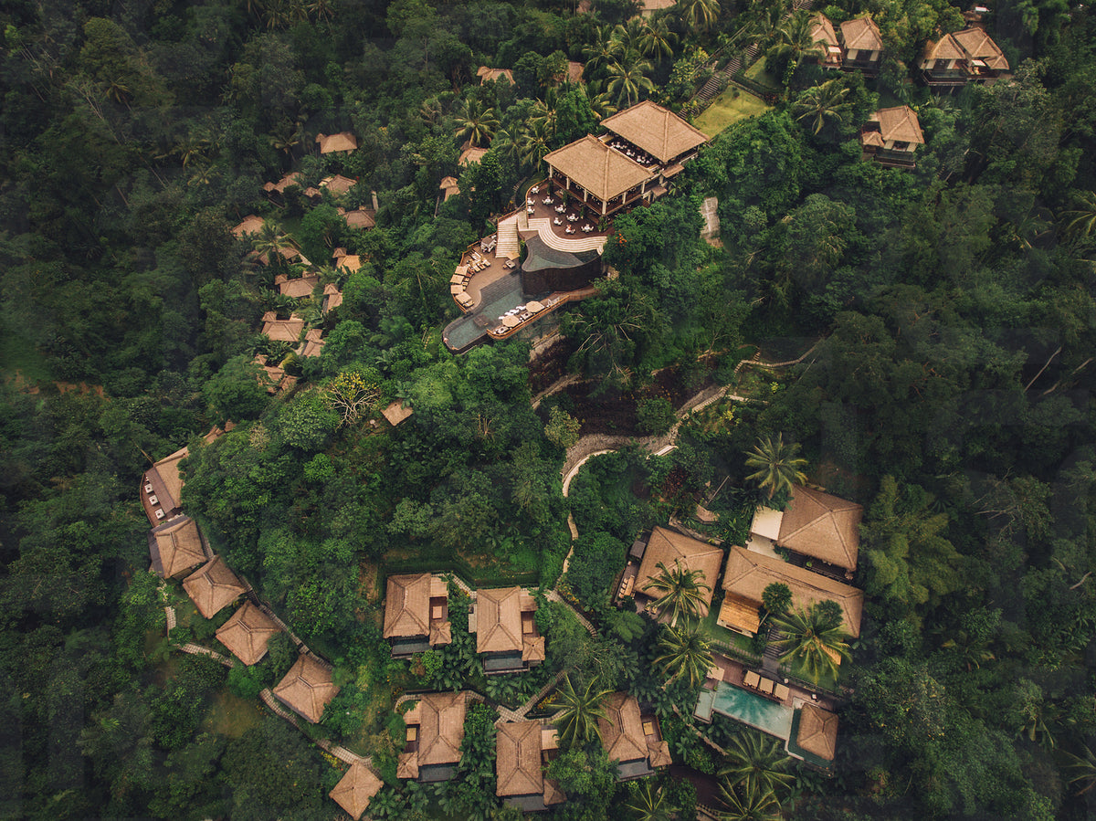 Luxury resort in forest surrounded by trees – Jacob Lund Photography ...