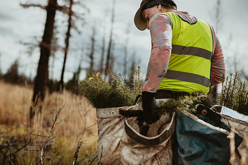 Man working for forest conservation