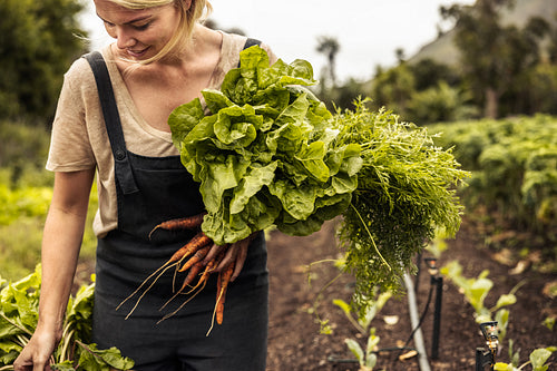 Smiling organic farmer holding freshly picked vegetables on her farm