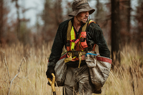 Ranger working in forest planting new trees