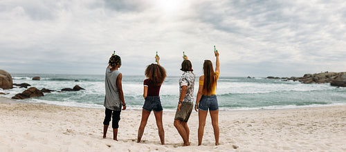 Group of friends toasting beers with sea