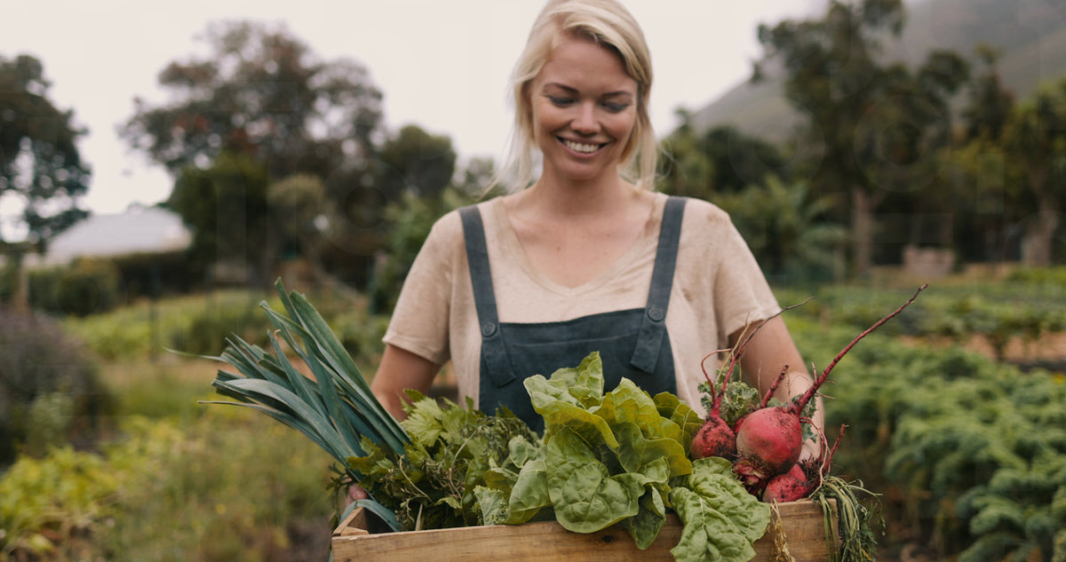 Organic farmer carrying fresh vegetables on her farm – Jacob Lund ...