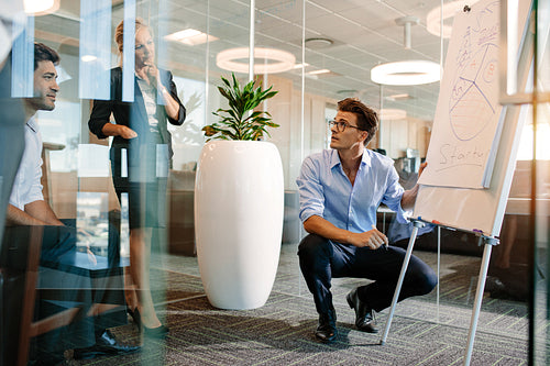 Mature businessman making a presentation on flip-chart