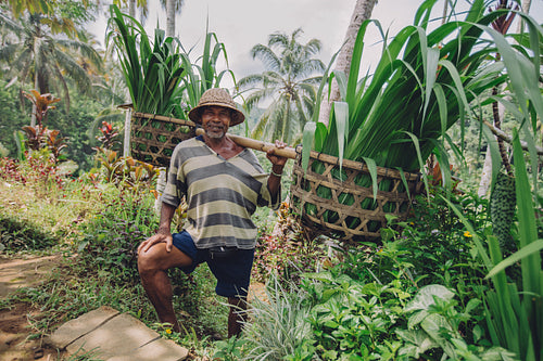 Senior farmer smiling working in his farm