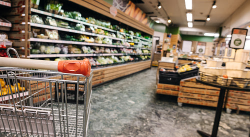 Empty shopping cart in supermarket