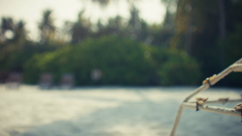 Happy father and child enjoy a sunny tropical beach day planting coral together