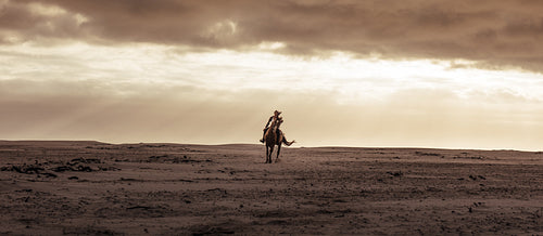 Female riding her stallion at the sea shore