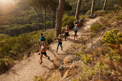 Group of runners in a Cross Country race