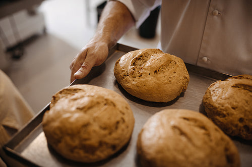 Freshly baked bread on a baking tray