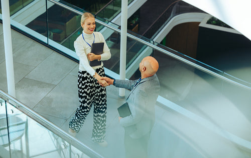 Professional business greeting in a modern corporate environment