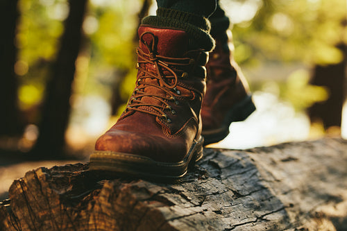 Close up of person walking on tree trunk