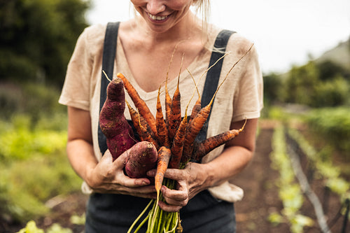 Happy farmer holding freshly picked carrots and sweet potatoes