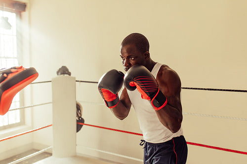 Focused young boxer practicing with focus pads in a gym