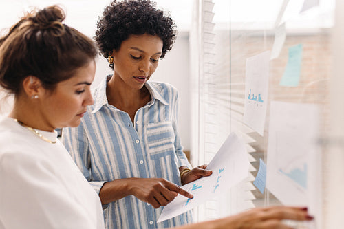 Young businesswomen analysing some documents in an office