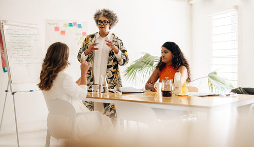 Mature businesswoman having a discussion with her colleagues