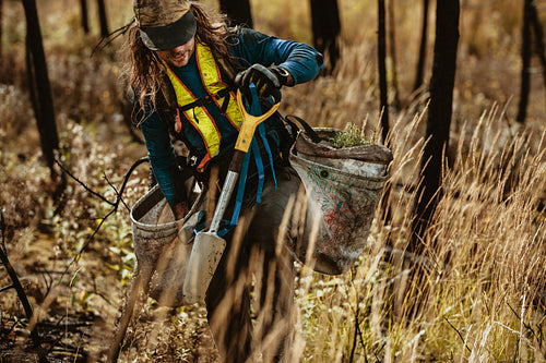 Man planting new seedlings in forest