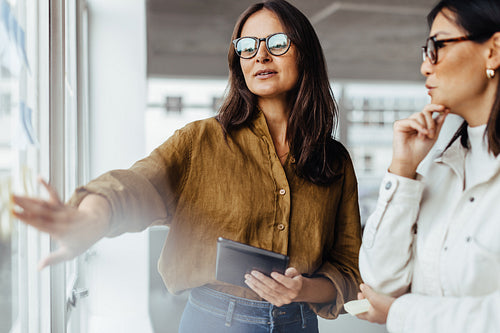 Mature business woman brainstorming with her colleague in an office