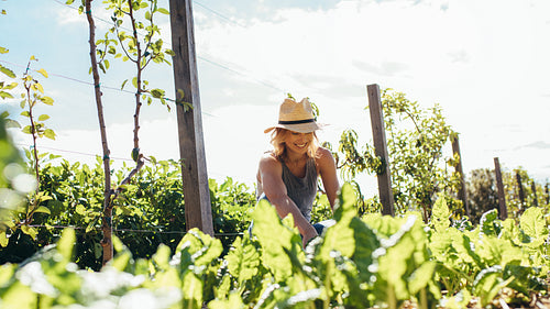 Young woman doing farming