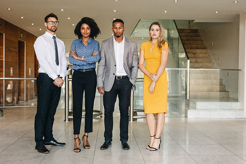 Team of business professionals