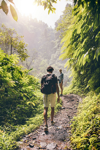 Couple walking along a path through the forest
