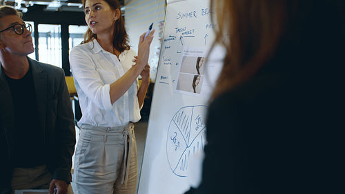 Businesswoman giving a presentation to the team