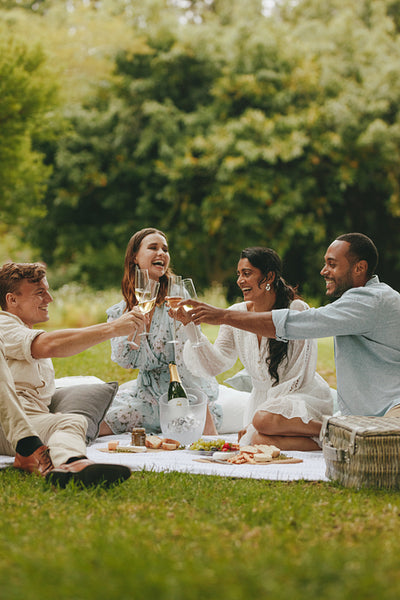 Group of friends celebrating with drinks at picnic