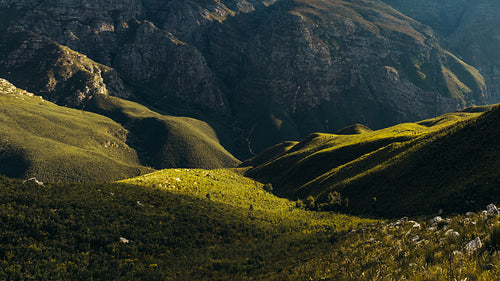 Shadows and light in Jonkershoek nature reserve