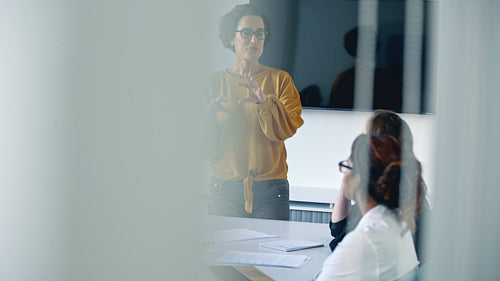 Business professionals having a meeting in the boardroom