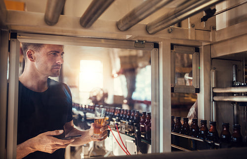 Young man examining beer at brewery
