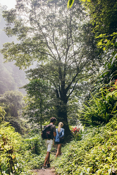 Couple of tourists walking along the forest trail