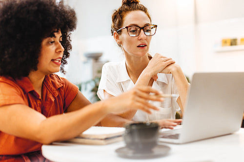 Business woman discussing work with her client in a coffee shop