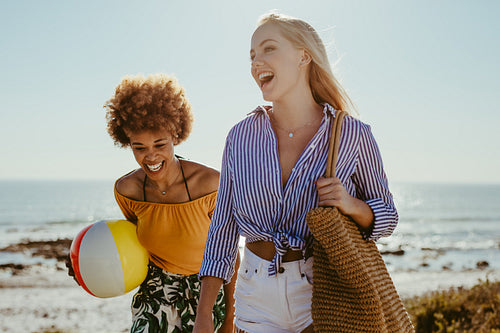 Friends on picnic at beach