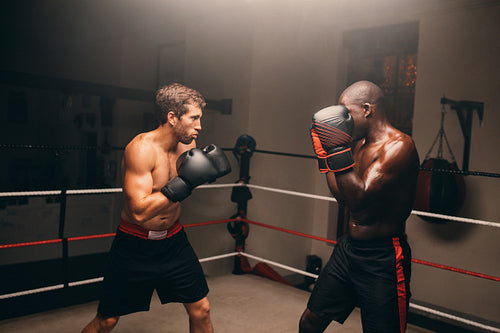 Two boxers standing in fighting position inside a boxing ring