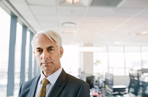 Confident mature businessman in office