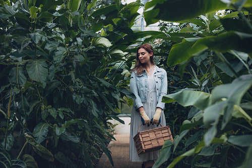 Female gardener working in greenhouse