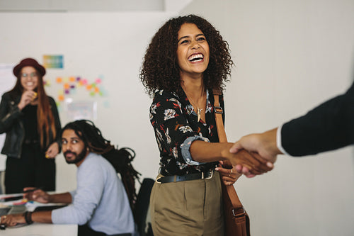 Smiling businesswoman shaking hands with a business person