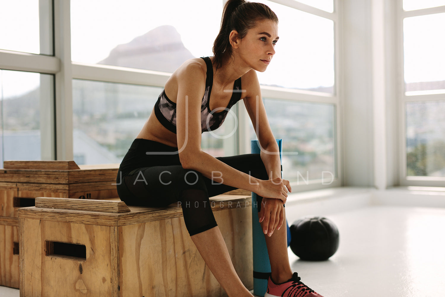 Woman working out at cross training gym stock photo (149879) -  YouWorkForThem