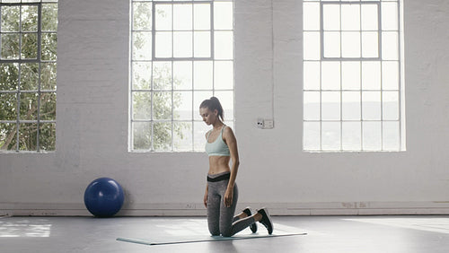 Premium Photo  Young petite woman is training by doing push up with  exercise ball in gym